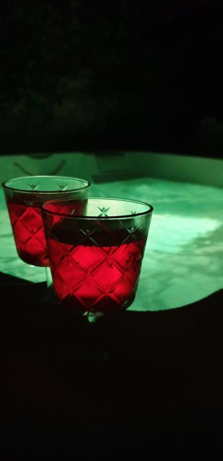 Maison De Maitre A Bram # Jacuzzi Eksteriør bilde